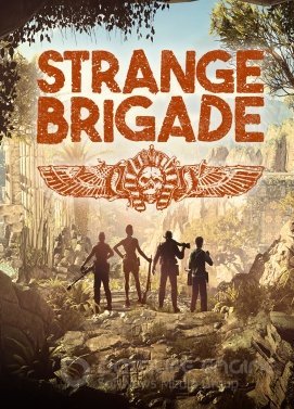 Strange brigade как играть по сети на пиратке